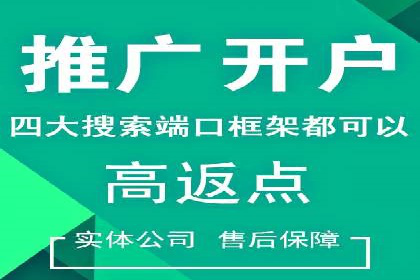 某某SEM服务公司：一例广告投放的优化与成果